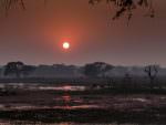 Bharatpur Bird Sanctuary sunset © P Clarke