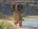 Himalayan ladies © J Bridges