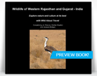 wildlife-western-rajasthan-gujarat-india